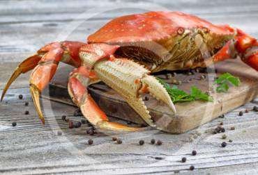 Delicate crab meat with the soft taste