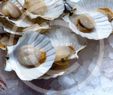 A safe way to exotic seafood tasting