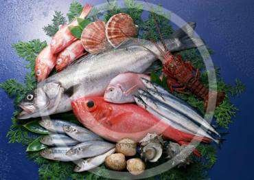 Salmon and trout are no longer a luxury