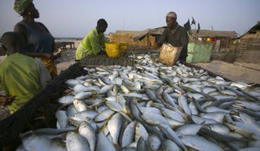 Afrique-Caraïbes-Pacifique : Don de 40 millions d’euros de l’UE pour soutenir la pêche durable et l’aquaculture