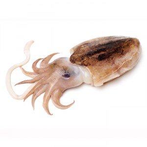 Seiche