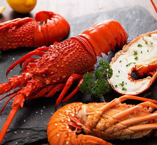 Shellfish