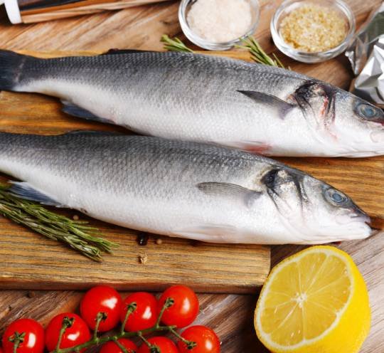 Fish